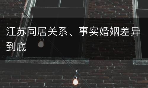 江苏同居关系、事实婚姻差异到底