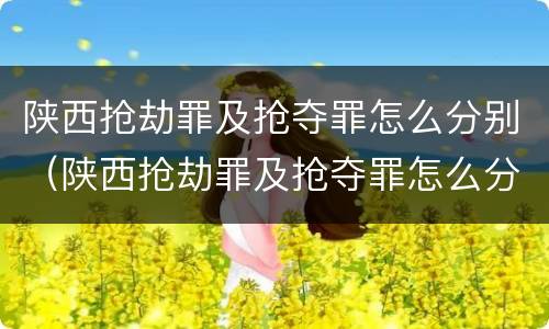 陕西抢劫罪及抢夺罪怎么分别（陕西抢劫罪及抢夺罪怎么分别认定）