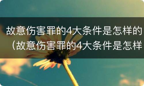 故意伤害罪的4大条件是怎样的（故意伤害罪的4大条件是怎样的呢）