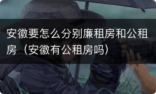 安徽要怎么分别廉租房和公租房（安徽有公租房吗）