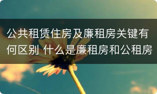 公共租赁住房及廉租房关键有何区别 什么是廉租房和公租房两个有什么特点