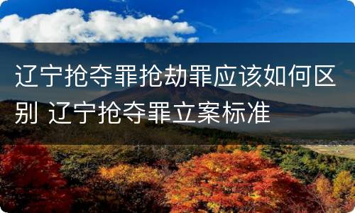 辽宁抢夺罪抢劫罪应该如何区别 辽宁抢夺罪立案标准