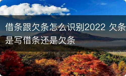 借条跟欠条怎么识别2022 欠条是写借条还是欠条