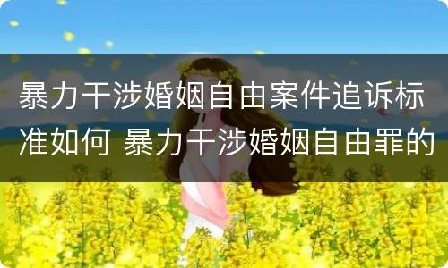 暴力干涉婚姻自由案件追诉标准如何 暴力干涉婚姻自由罪的转化