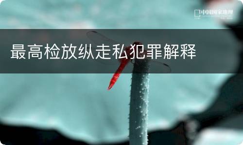 最高检放纵走私犯罪解释