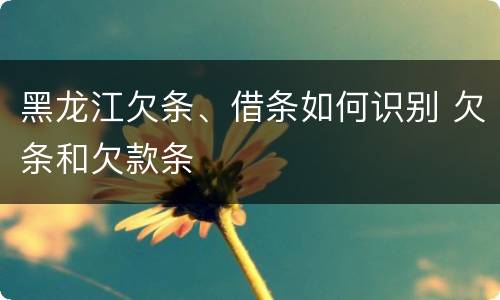 黑龙江欠条、借条如何识别 欠条和欠款条