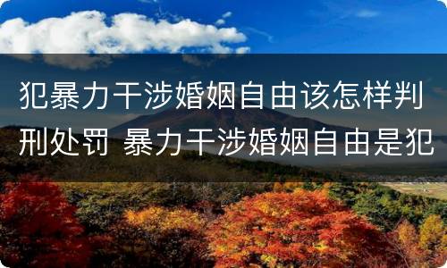 犯暴力干涉婚姻自由该怎样判刑处罚 暴力干涉婚姻自由是犯罪吗