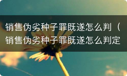 销售伪劣种子罪既遂怎么判（销售伪劣种子罪既遂怎么判定）