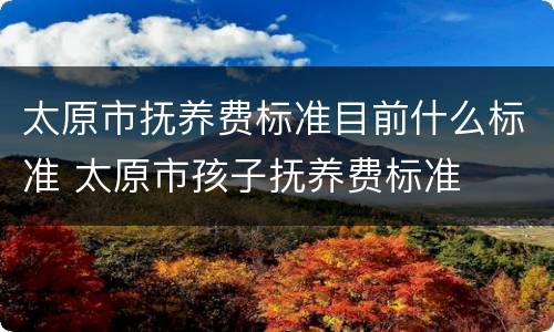太原市抚养费标准目前什么标准 太原市孩子抚养费标准