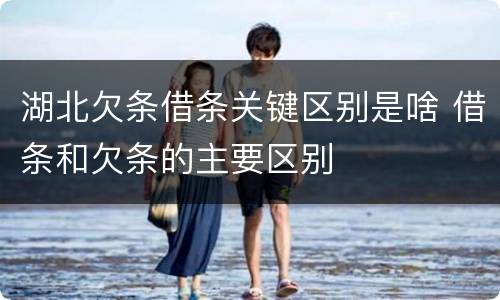 湖北欠条借条关键区别是啥 借条和欠条的主要区别
