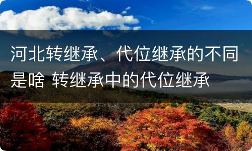 河北转继承、代位继承的不同是啥 转继承中的代位继承