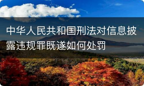 中华人民共和国刑法对信息披露违规罪既遂如何处罚