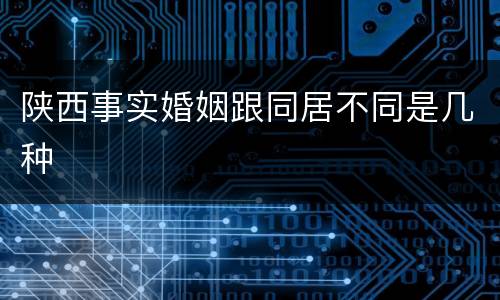 陕西事实婚姻跟同居不同是几种