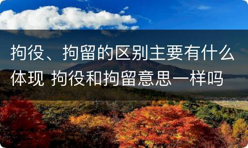 拘役、拘留的区别主要有什么体现 拘役和拘留意思一样吗