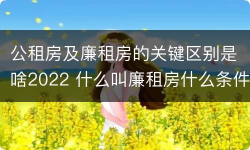 公租房及廉租房的关键区别是啥2022 什么叫廉租房什么条件什么叫公租房