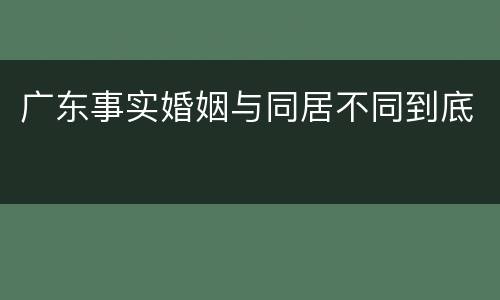 广东事实婚姻与同居不同到底