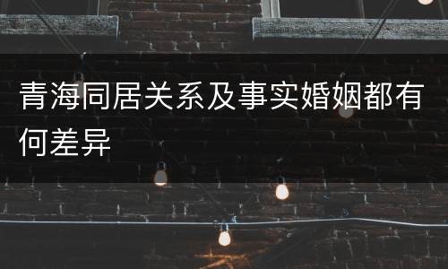 青海同居关系及事实婚姻都有何差异