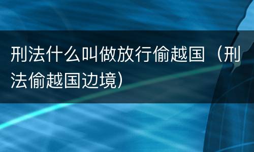 刑法什么叫做放行偷越国（刑法偷越国边境）