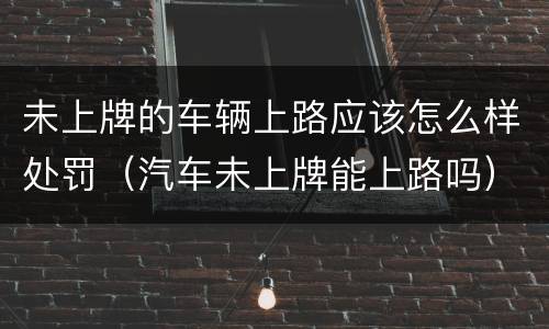 未上牌的车辆上路应该怎么样处罚（汽车未上牌能上路吗）