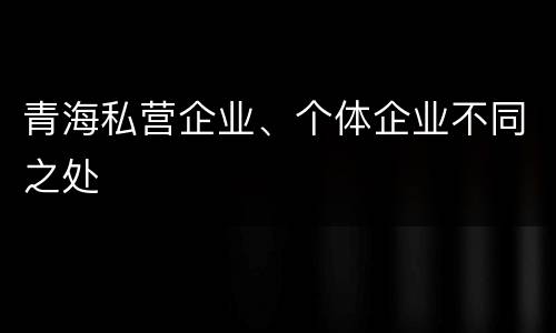 青海私营企业、个体企业不同之处