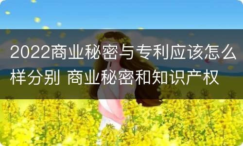 2022商业秘密与专利应该怎么样分别 商业秘密和知识产权