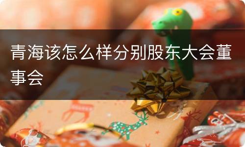 青海该怎么样分别股东大会董事会
