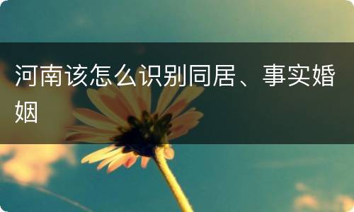 河南该怎么识别同居、事实婚姻