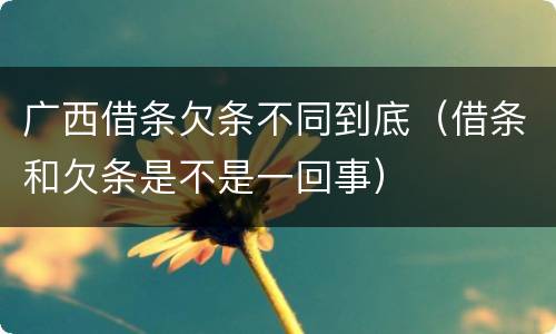 广西借条欠条不同到底（借条和欠条是不是一回事）