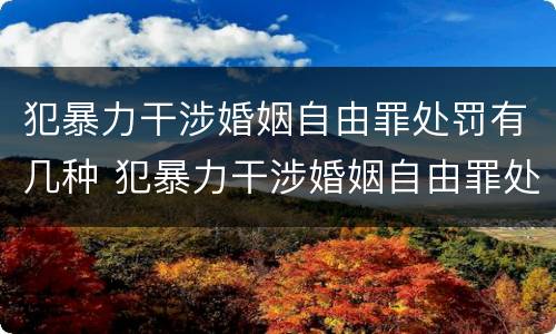 犯暴力干涉婚姻自由罪处罚有几种 犯暴力干涉婚姻自由罪处罚有几种类型