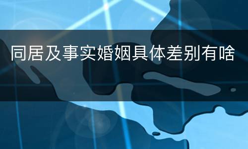同居及事实婚姻具体差别有啥