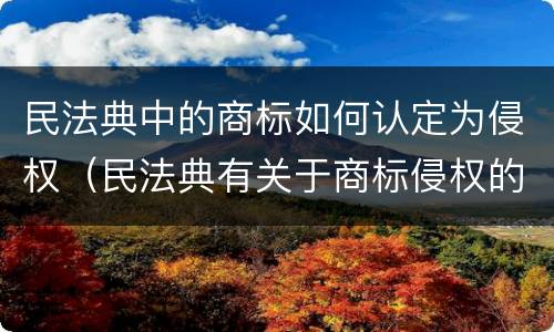 民法典中的商标如何认定为侵权（民法典有关于商标侵权的改变吗）