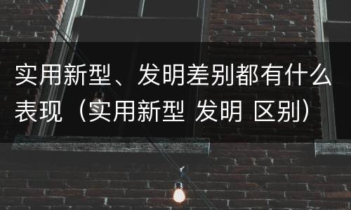 实用新型、发明差别都有什么表现（实用新型 发明 区别）