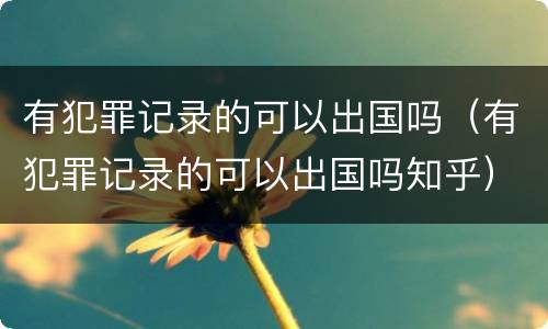有犯罪记录的可以出国吗（有犯罪记录的可以出国吗知乎）