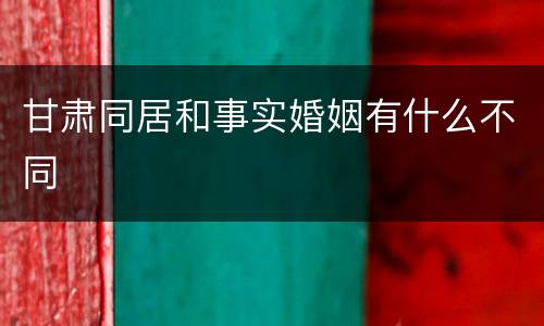 甘肃同居和事实婚姻有什么不同