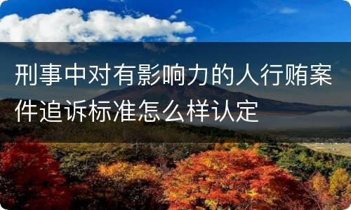刑事中对有影响力的人行贿案件追诉标准怎么样认定