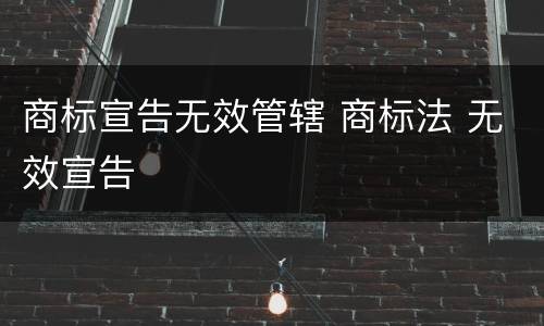 商标宣告无效管辖 商标法 无效宣告