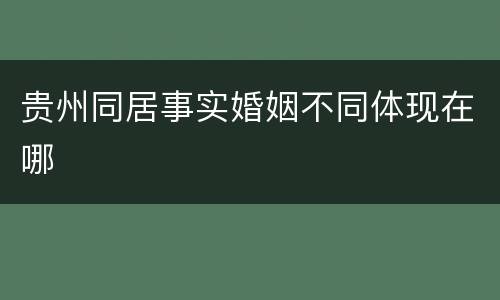贵州同居事实婚姻不同体现在哪