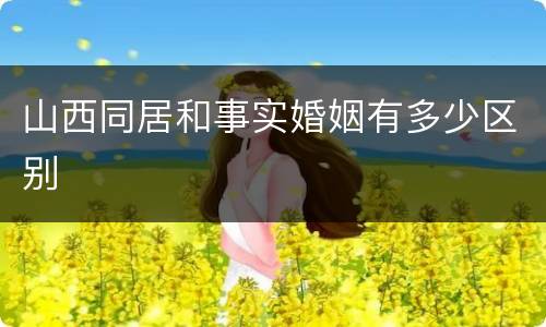山西同居和事实婚姻有多少区别