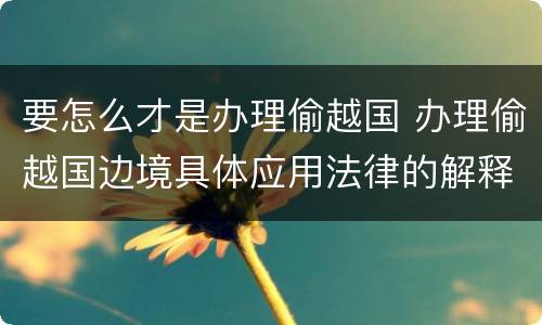 要怎么才是办理偷越国 办理偷越国边境具体应用法律的解释