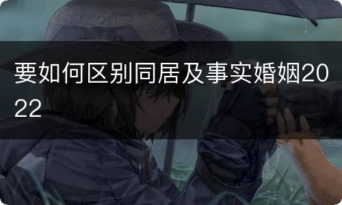 要如何区别同居及事实婚姻2022