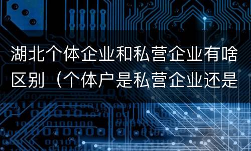 湖北个体企业和私营企业有啥区别（个体户是私营企业还是民营企业）