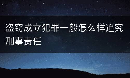 盗窃成立犯罪一般怎么样追究刑事责任