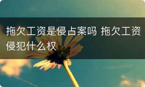 拖欠工资是侵占案吗 拖欠工资侵犯什么权