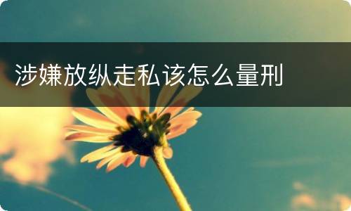 涉嫌放纵走私该怎么量刑