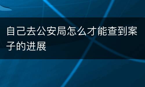 自己去公安局怎么才能查到案子的进展