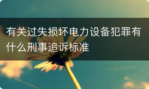 有关过失损坏电力设备犯罪有什么刑事追诉标准