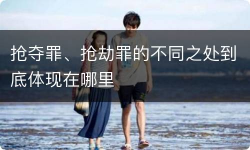抢夺罪、抢劫罪的不同之处到底体现在哪里