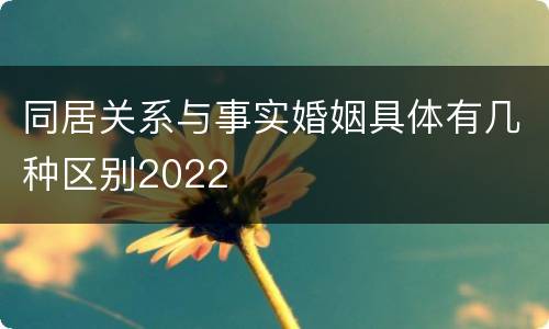 同居关系与事实婚姻具体有几种区别2022