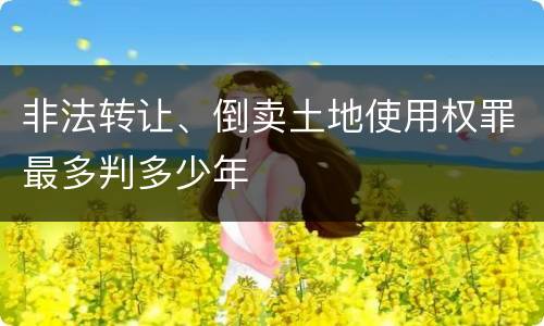 非法转让、倒卖土地使用权罪最多判多少年