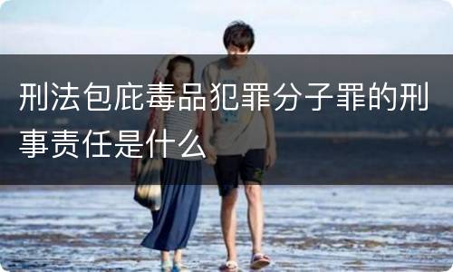 刑法包庇毒品犯罪分子罪的刑事责任是什么